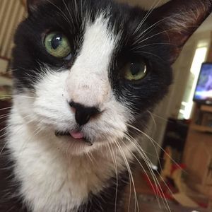 Meet your Posher, Melinda